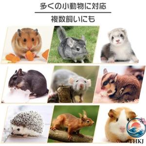 モモンガ ケージ 3 階建て リス ケージ 1...の詳細画像5