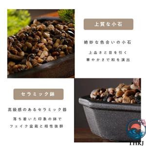 横幅 80cm アート フェイク盆栽 松 人工...の詳細画像2