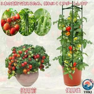 3 個セット サポート支柱 80cm 120c...の詳細画像2