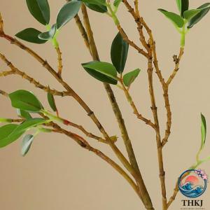 フェイクグリーン 卓上 超リアル 人工観葉植物...の詳細画像3