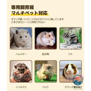 ハムスター ケージ ハムスターハウス ケース ...の詳細画像4