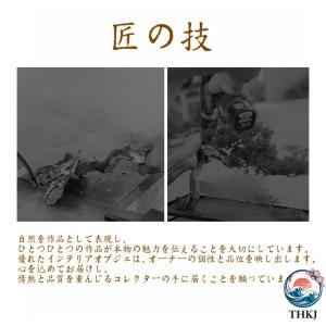盆栽 フェイク フェイクグリーン 盆栽 玄関 ...の詳細画像1