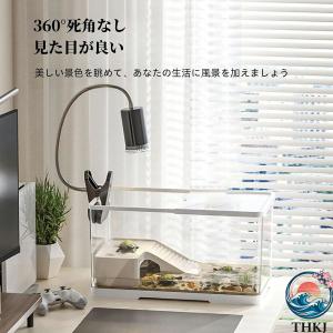 カメ用 飼育ケース 亀の飼育ケース 亀 水槽 ...の詳細画像1