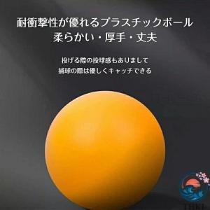 ピンポンキャッチャー ビーチ投げゲーム 投げゲ...の詳細画像3