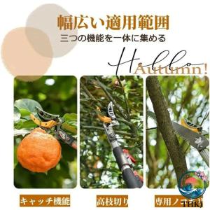 高枝切りバサミ 高枝切鋏 伸縮式高枝切り鋏 高...の詳細画像2