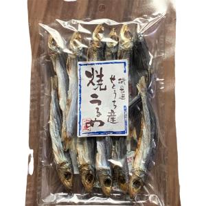 終了しました】山口県産摘み立て「淡竹（ハチク）のたけのこ3kg