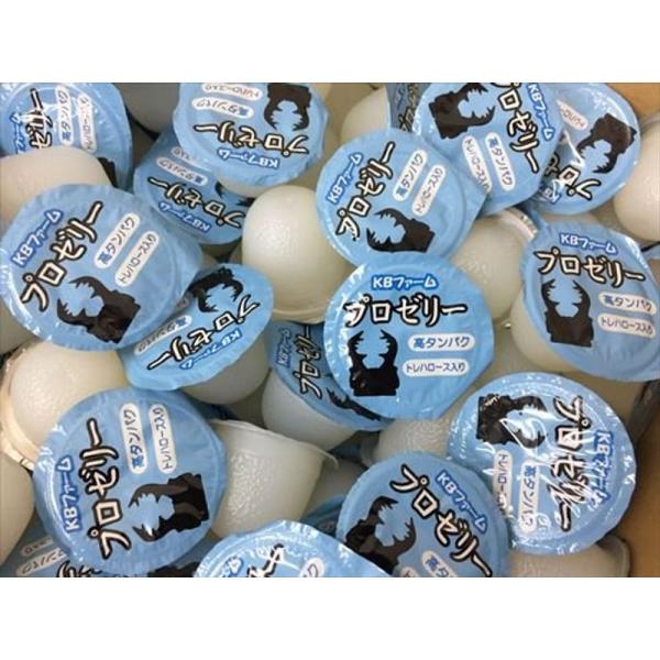 KBファーム プロゼリー(16g 200個入り) カブトムシ・クワガタ用