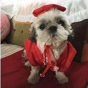 日本全薬 【あすつく】【2袋セット】【犬用】【フレキサディン