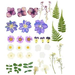 手芸キット 生花 の商品一覧 花 ガーデニング 通販 Yahoo ショッピング