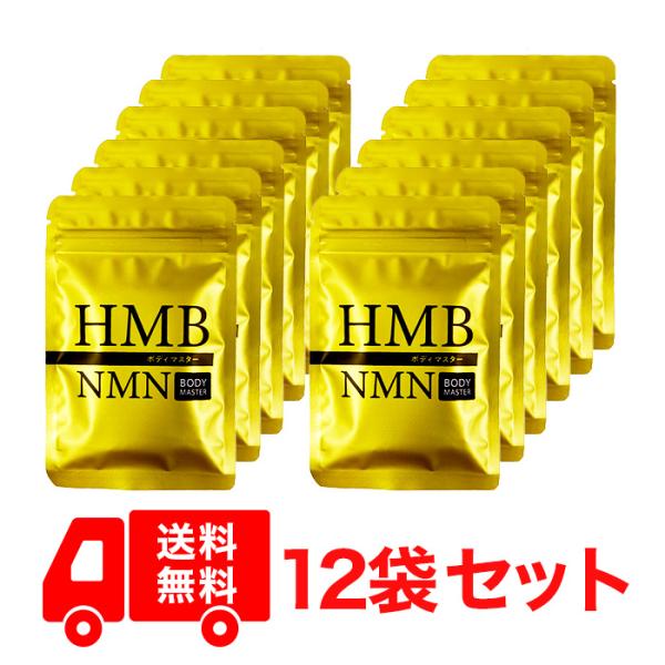 正規品 12袋セット ボディマスター BODYMASTER HMB NMN 国内生産 送料無料 サプ...