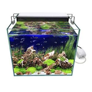 水槽 35cm キューブ 熱帯魚 アクアリウム用品 の商品一覧 ペット用品 生き物 通販 Yahoo ショッピング