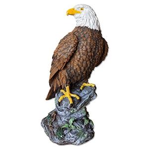 スズメ 撃退 屋根の商品一覧 通販 Yahoo ショッピング