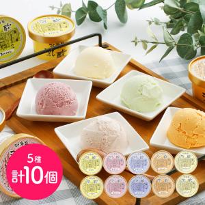 北海道 「乳蔵」 北海道アイスクリーム5種10個 ギフト 贈り物 産地直送｜ymmttrading-giftshop