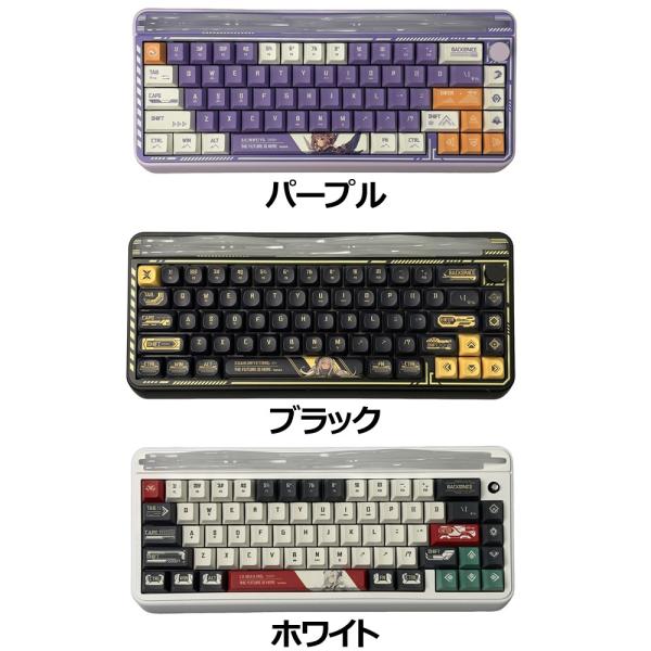 AULA Hi65JP メカニカルキーボード 有線/無線対応 RGBバックライト コンパクト65%
