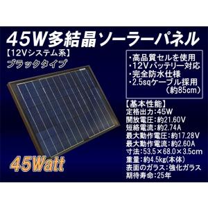 イチネンアクセス ソーラーパネル 220W CYGNUS S220W 【対応製品