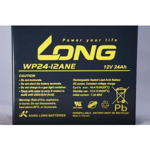 12V 24Ah シールドバッテリー WP24...の詳細画像2