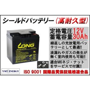 LONG ロング 12V 50Ah WP50-12NE 舞鶴・綾部・福知山 LONG WP50-12NE | 南進貿易株式会社 | LONG（ロング）バッテリー正規