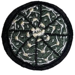 サボテン：ギムノカリキウム 瑞昌玉*M 幅3.5cm : 遊恵盆栽 Yahoo!店