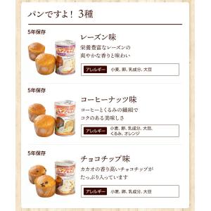 パン派!! 10日分 食糧備蓄 非常食セット ...の詳細画像2