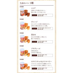 パン派!! 10日分 食糧備蓄 非常食セット ...の詳細画像3