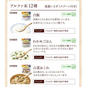 パン派!! 10日分 食糧備蓄 非常食セット ...の詳細画像5