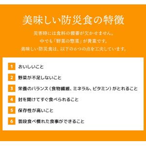 美味しい防災食 ハンバーグ煮込み 単品 1袋 ...の詳細画像2