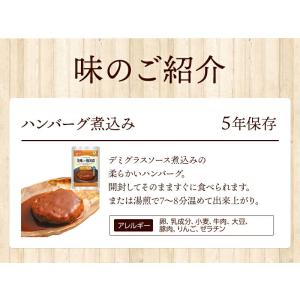 美味しい防災食 ハンバーグ煮込み 単品 1袋 ...の詳細画像3