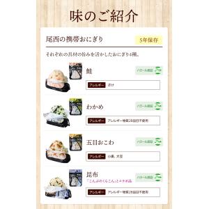 尾西食品 アルファ米 携帯おにぎり 1食 | ...の詳細画像4