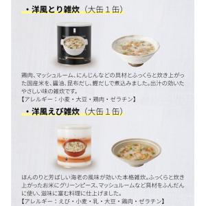 サバイバルフーズ バラエティ フルセット 大缶...の詳細画像4