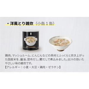 サバイバルフーズ バラエティ フルセット 小缶...の詳細画像4