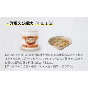 サバイバルフーズ バラエティ フルセット 小缶...の詳細画像5
