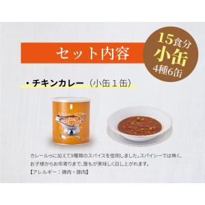 サバイバルフーズ ファミリーセット(カレー&a...の詳細画像2