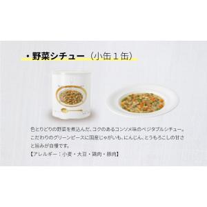 サバイバルフーズ ファミリーセット(カレー&a...の詳細画像4