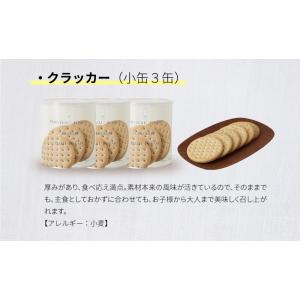サバイバルフーズ ファミリーセット(カレー&a...の詳細画像5