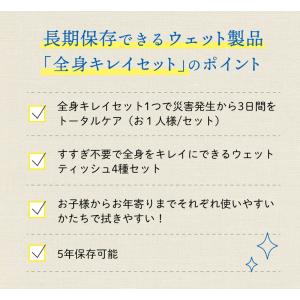 SKK 水のいらない全身キレイセット | ウェ...の詳細画像3