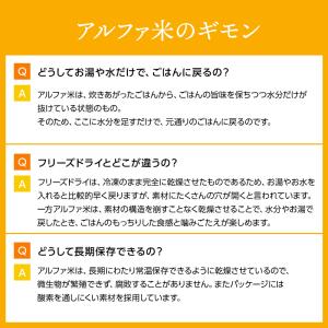 アルファ米 全種類 完全制覇 22種類 22食...の詳細画像3