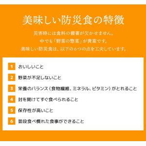 美味しい防災食 人気ベスト5 25食 7日分以...の詳細画像2
