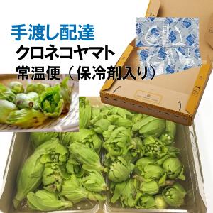 【BOX満タン】【鮮度保持のための保冷剤】[新...の詳細画像1