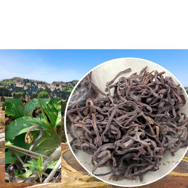 【ゆきぐに 新潟 魚沼産】「塩蔵手もみ干しわらび 100ｇ」 アク抜き不要 安全安心 戻せばシャキシ...