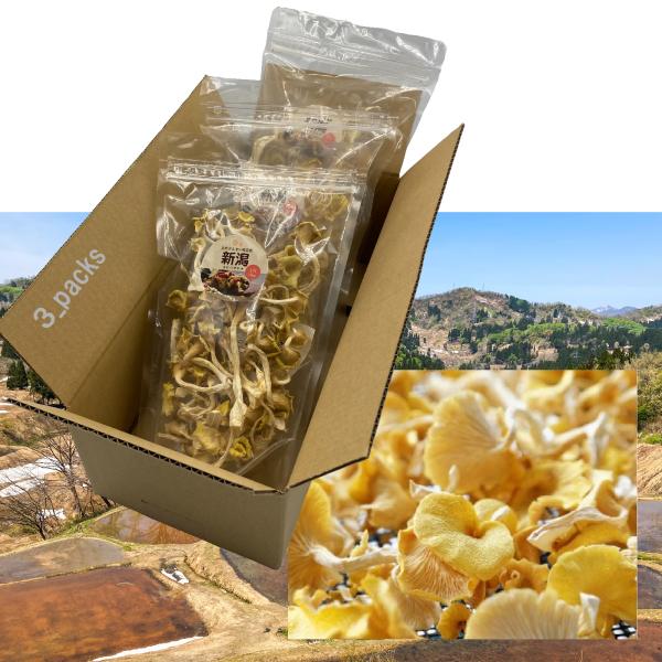 【新潟 うおぬま】たもぎ茸 乾燥 25g × 3袋 〜幻のきのこ〜 エルゴチオネイン βグルカン 「...