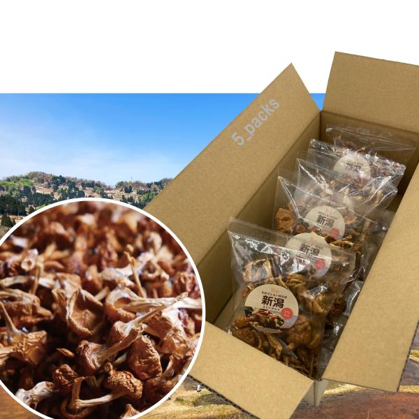 【新潟うおぬま産】なめこ(乾燥) 干し 110g（22g×5パック）旨みがギュッ 歯ざわり新食感