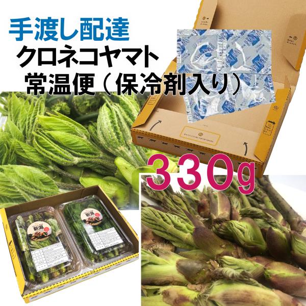 【鮮度保持のための保冷剤入り】【330g】［新潟魚沼産］山菜の王様「たらの芽」＆ 女王「コシアブラ」...