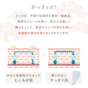 かっさ マッサージ 美顔器 カッサ テラヘルツ...の詳細画像2
