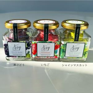 Airy Fruit エアリーフルーツ フリー...の詳細画像1