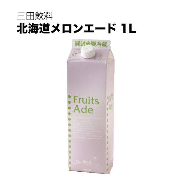 三田飲料 北海道メロンエード 紙パック 1L 1000ml 送料無料 本州のみ 三田飲料