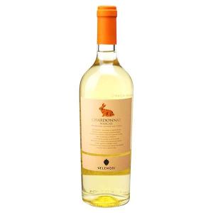 而今 日本酒 東条山田錦 火入 720ml 2025年9月製造 箱なし じこん 東京