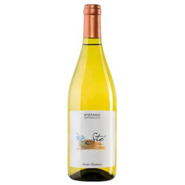 サンタバルバラ ステ ヴェルディッキオ 375ml メモス イタリア 白ワイン 723-103