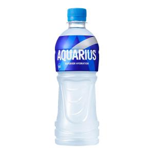 アクエリアス [PET] 500ml x 48本[2ケース販売] 送料無料(本州のみ) [コカコーラ 飲料 スポーツ 日本 54542]