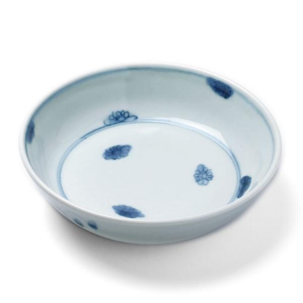 菊花文5.5寸浅鉢・藤塚光男《中鉢・17.0cm》