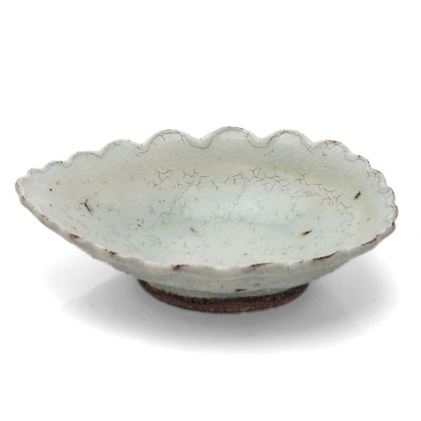 柏鉢・白・杉本太郎